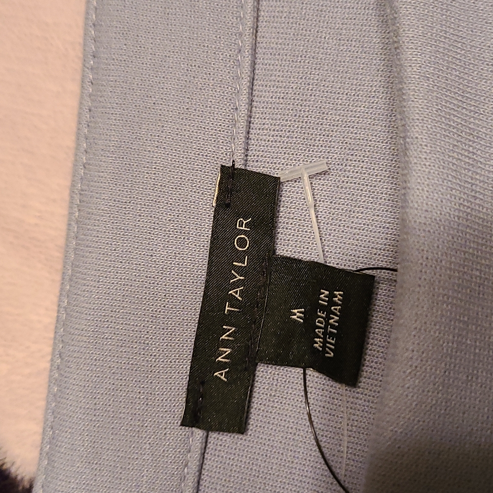 Ann Taylor Top